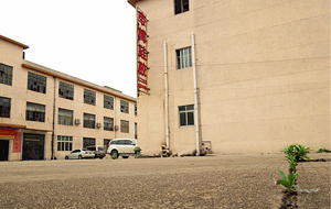 “論實(shí)力說(shuō)話(huà)”專(zhuān)業(yè)硅膠制品廠家！